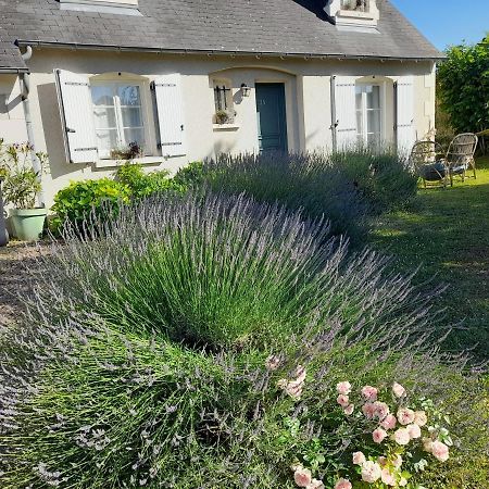 Maison De Marie Blere ภายนอก รูปภาพ